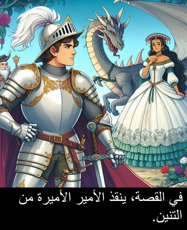 الأمير: في القصة، ينقذ الأمير الأميرة من التنين.