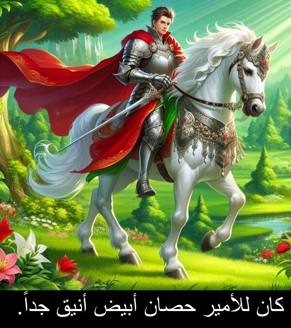 أبيض: كان للأمير حصان أبيض أنيق جداً.