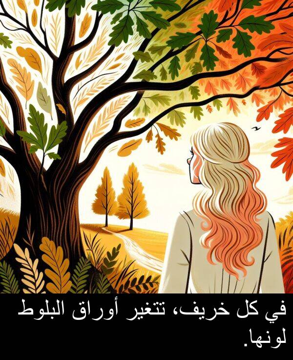 خريف،: في كل خريف، تتغير أوراق البلوط لونها.
