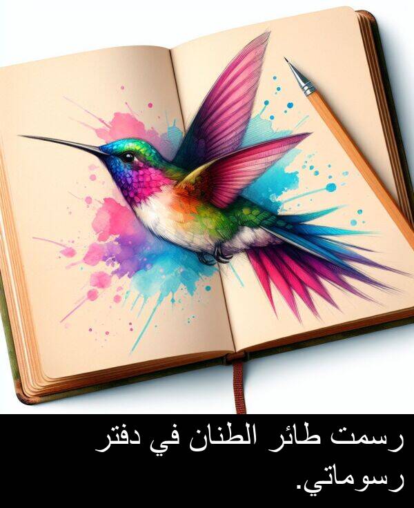 دفتر: رسمت طائر الطنان في دفتر رسوماتي.