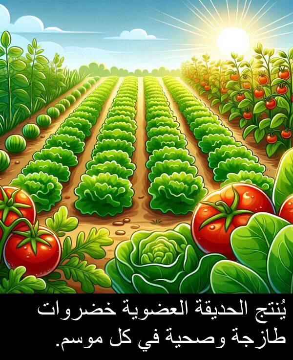 طازجة: يُنتج الحديقة العضوية خضروات طازجة وصحية في كل موسم.