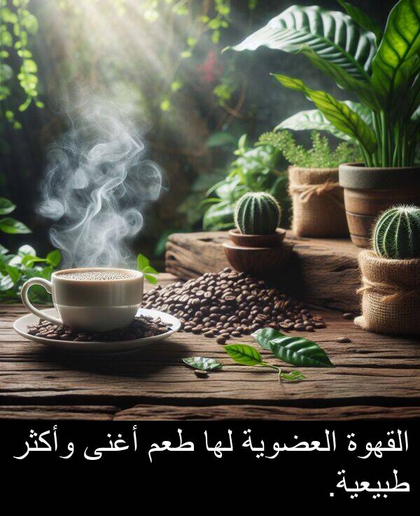 طبيعية: القهوة العضوية لها طعم أغنى وأكثر طبيعية.