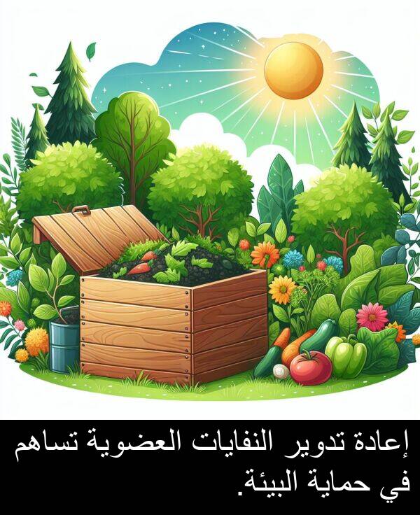 البيئة: إعادة تدوير النفايات العضوية تساهم في حماية البيئة.