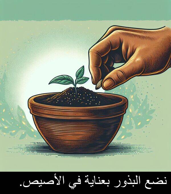 الأصيص: نضع البذور بعناية في الأصيص.