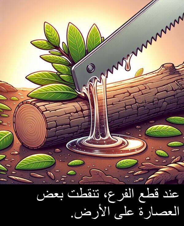 عند: عند قطع الفرع، تنقطت بعض العصارة على الأرض.