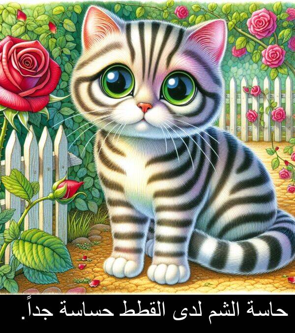 لدى: حاسة الشم لدى القطط حساسة جداً.