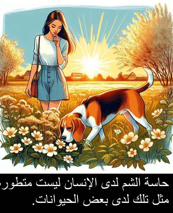 لدى: حاسة الشم لدى الإنسان ليست متطورة مثل تلك لدى بعض الحيوانات.