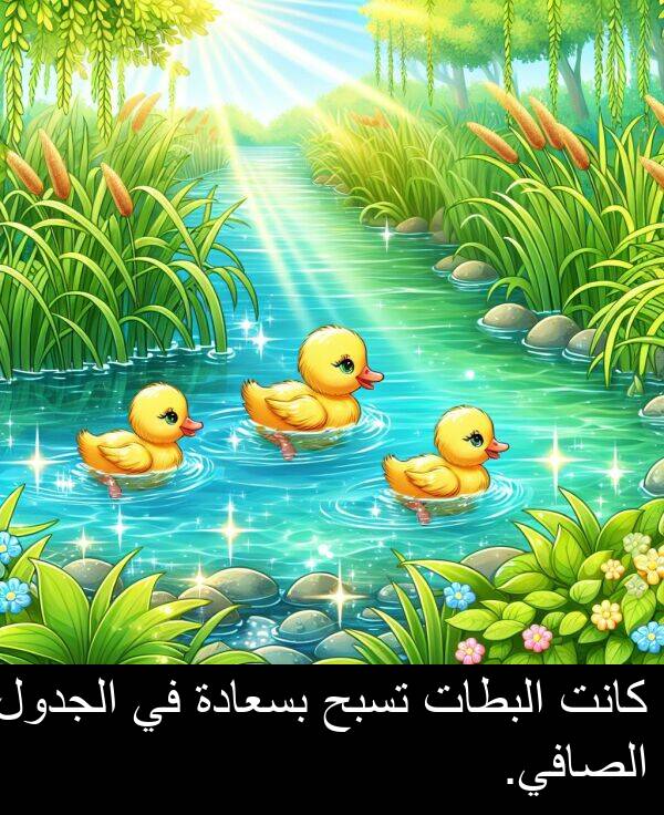 الصافي: كانت البطات تسبح بسعادة في الجدول الصافي.