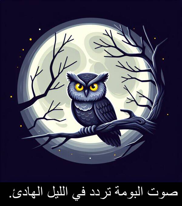 صوت: صوت البومة تردد في الليل الهادئ.