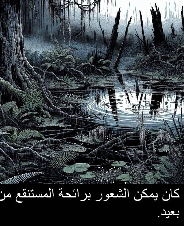 المستنقع: كان يمكن الشعور برائحة المستنقع من بعيد.