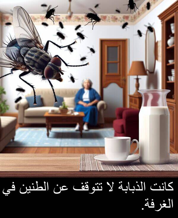 تتوقف: كانت الذبابة لا تتوقف عن الطنين في الغرفة.