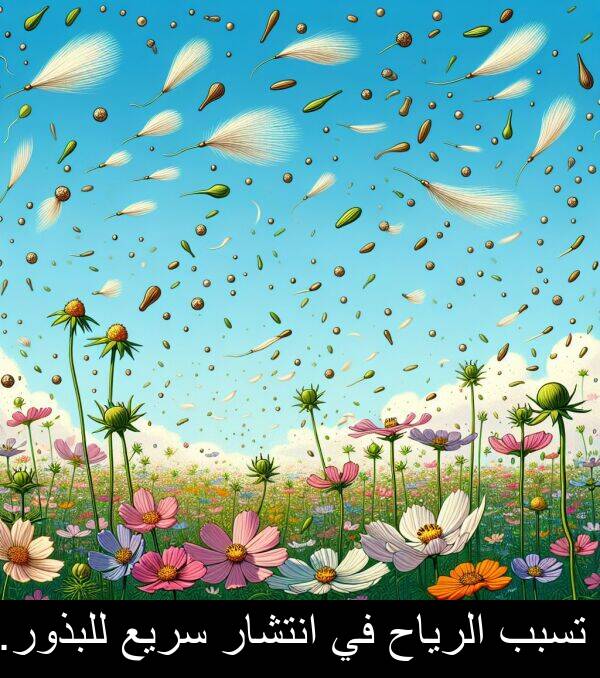 سريع: تسبب الرياح في انتشار سريع للبذور.