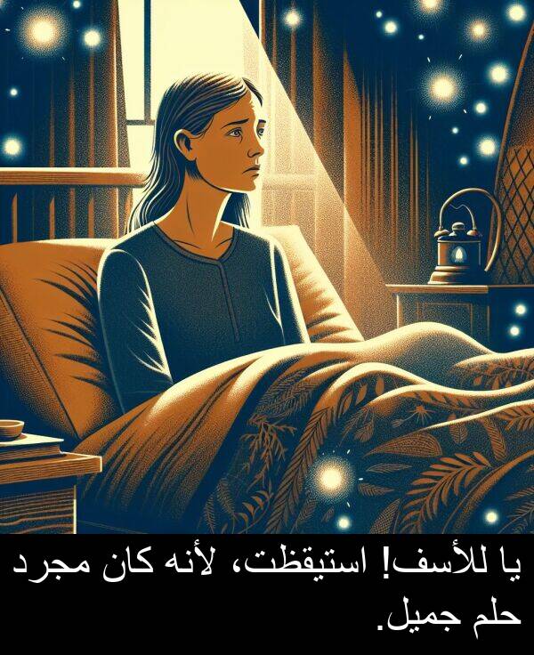 لأنه: يا للأسف! استيقظت، لأنه كان مجرد حلم جميل.