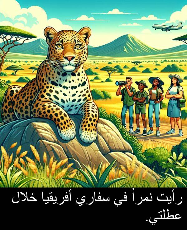 خلال: رأيت نمراً في سفاري أفريقيا خلال عطلتي.