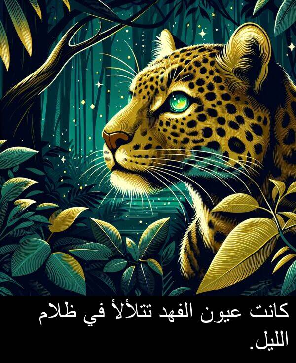 ظلام: كانت عيون الفهد تتلألأ في ظلام الليل.