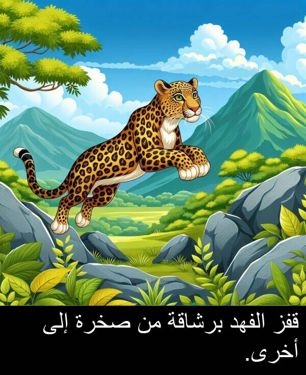إلى: قفز الفهد برشاقة من صخرة إلى أخرى.