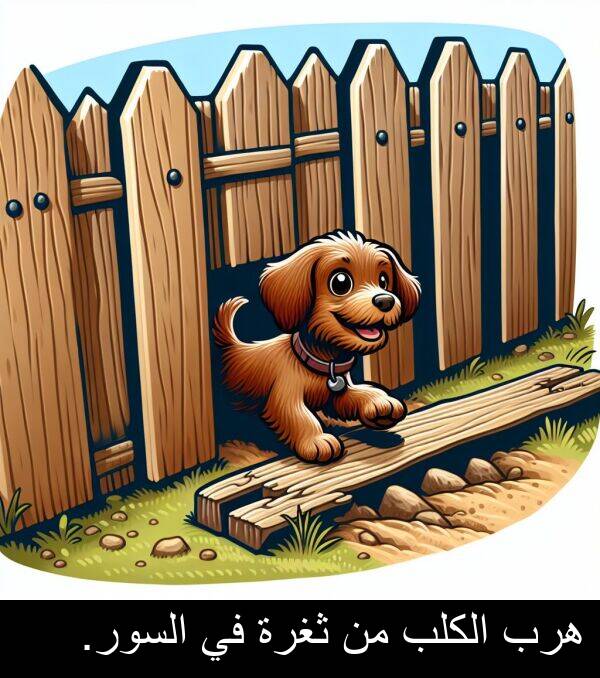 هرب: هرب الكلب من ثغرة في السور.
