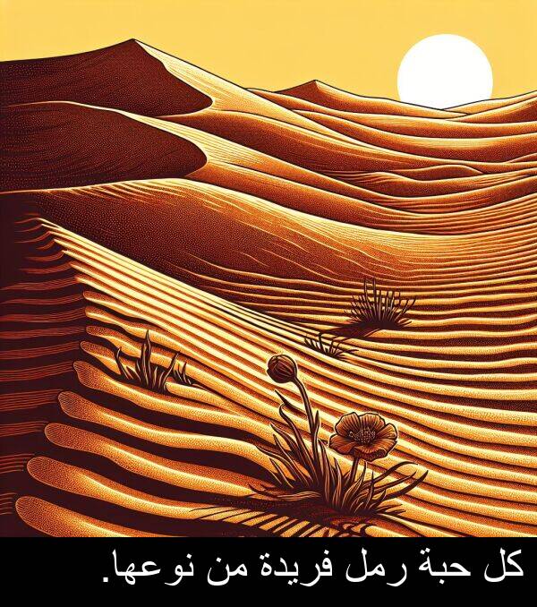 رمل: كل حبة رمل فريدة من نوعها.