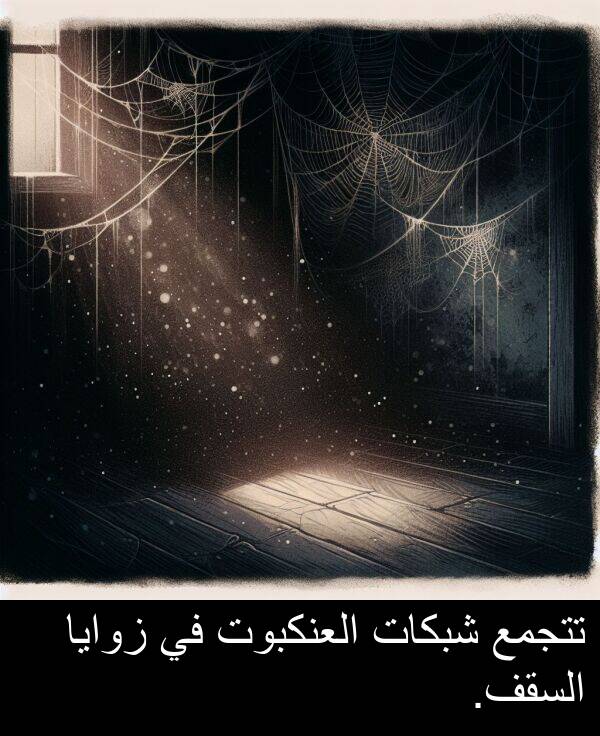 شبكات: تتجمع شبكات العنكبوت في زوايا السقف.