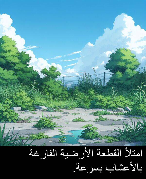 بالأعشاب: امتلأ القطعة الأرضية الفارغة بالأعشاب بسرعة.