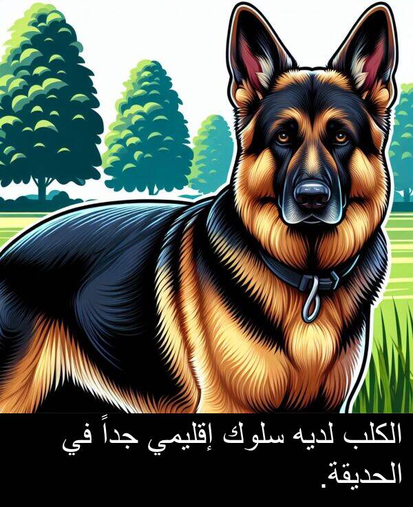 لديه: الكلب لديه سلوك إقليمي جداً في الحديقة.