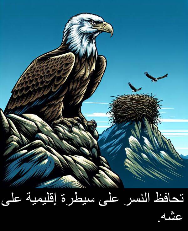 إقليمية: تحافظ النسر على سيطرة إقليمية على عشه.