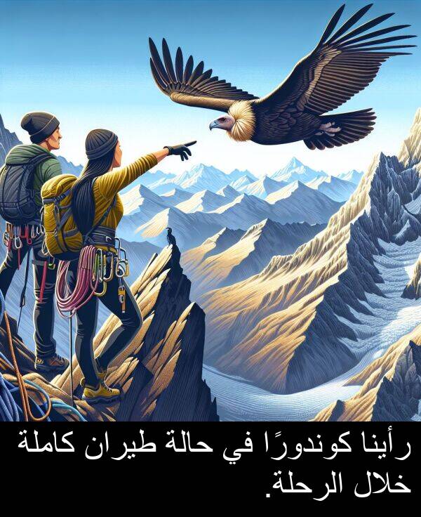 كاملة: رأينا كوندورًا في حالة طيران كاملة خلال الرحلة.