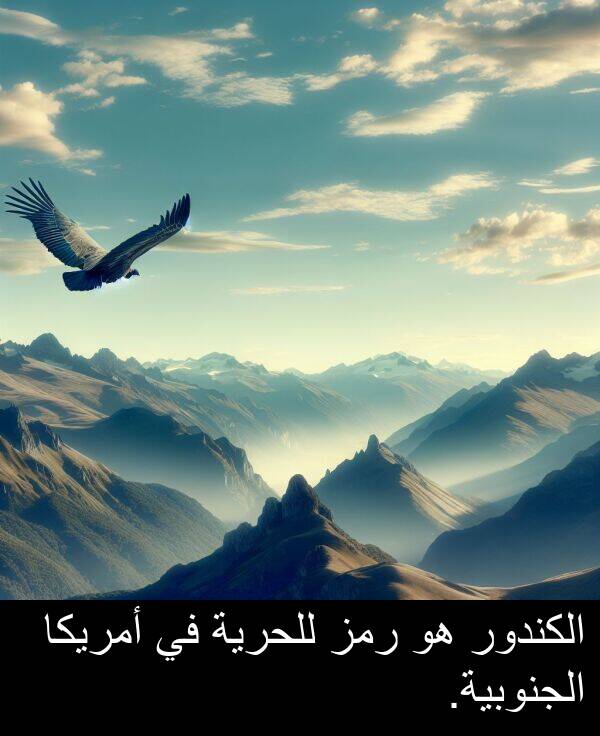 رمز: الكندور هو رمز للحرية في أمريكا الجنوبية.