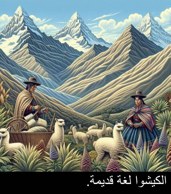 الكيشوا: الكيشوا لغة قديمة.