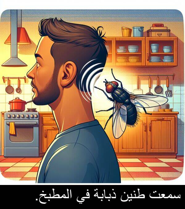 ذبابة: سمعت طنين ذبابة في المطبخ.