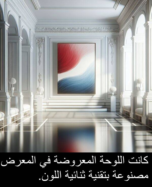 المعرض: كانت اللوحة المعروضة في المعرض مصنوعة بتقنية ثنائية اللون.