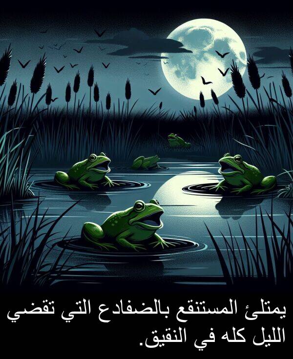 كله: يمتلئ المستنقع بالضفادع التي تقضي الليل كله في النقيق.