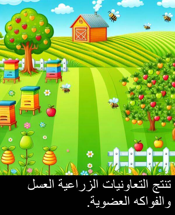 العضوية: تنتج التعاونيات الزراعية العسل والفواكه العضوية.