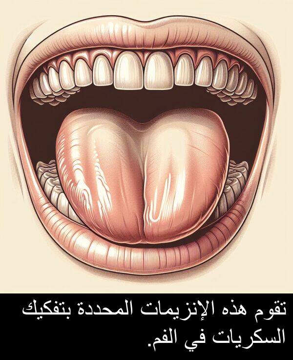 هذه: تقوم هذه الإنزيمات المحددة بتفكيك السكريات في الفم.