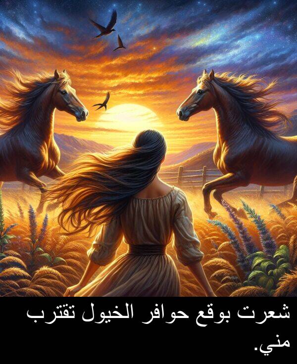 شعرت: شعرت بوقع حوافر الخيول تقترب مني.