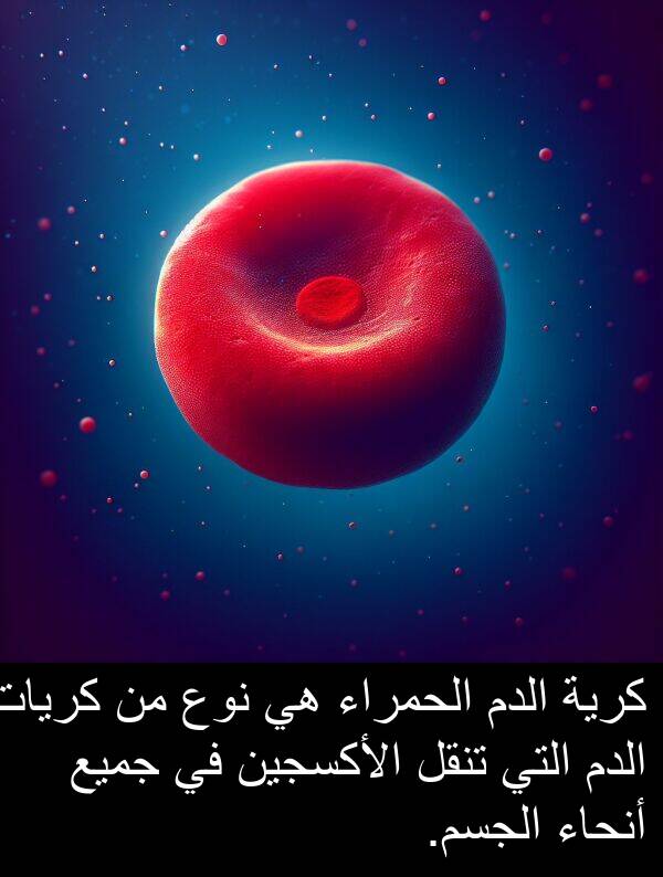 كريات: كرية الدم الحمراء هي نوع من كريات الدم التي تنقل الأكسجين في جميع أنحاء الجسم.