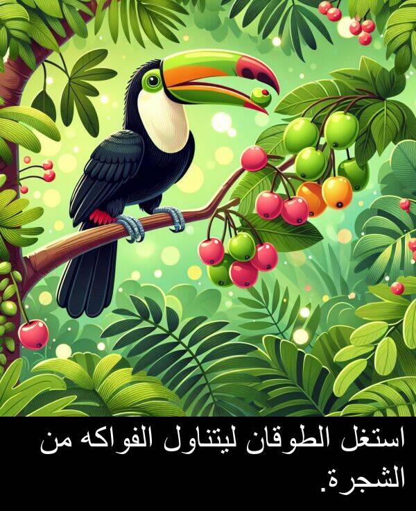 استغل: استغل الطوقان ليتناول الفواكه من الشجرة.