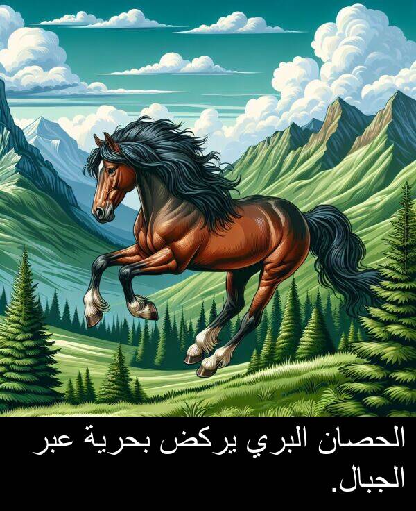 عبر: الحصان البري يركض بحرية عبر الجبال.