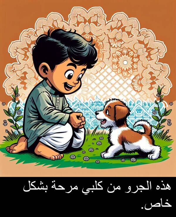 خاص: هذه الجرو من كلبي مرحة بشكل خاص.