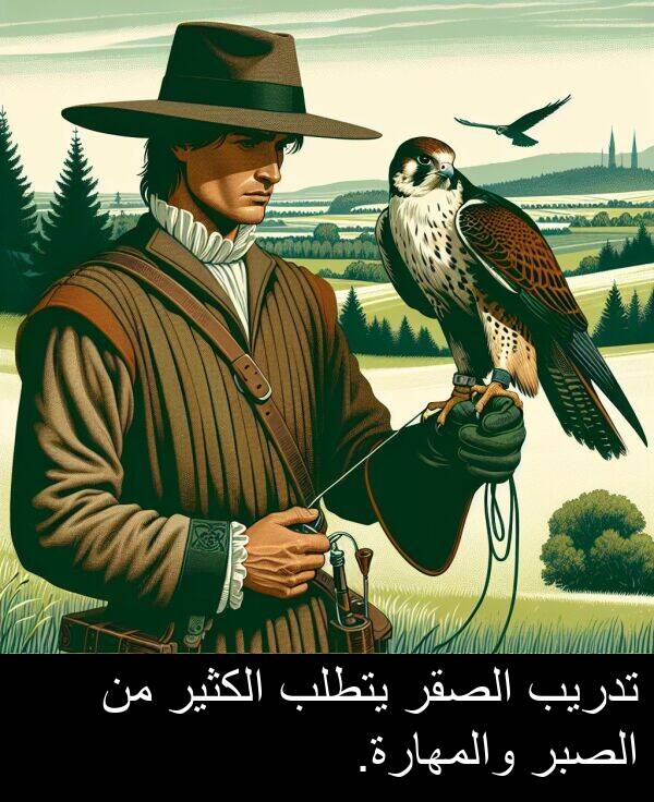 يتطلب: تدريب الصقر يتطلب الكثير من الصبر والمهارة.