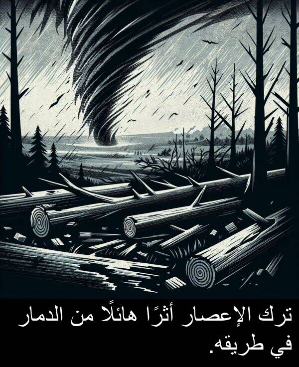 هائلًا: ترك الإعصار أثرًا هائلًا من الدمار في طريقه.