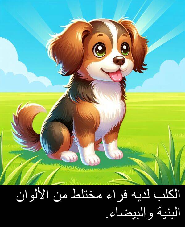 لديه: الكلب لديه فراء مختلط من الألوان البنية والبيضاء.