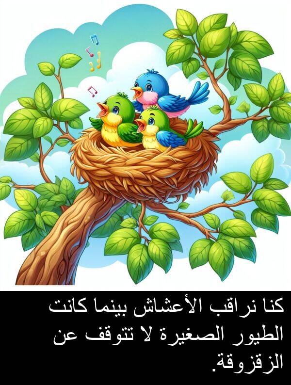 كنا: كنا نراقب الأعشاش بينما كانت الطيور الصغيرة لا تتوقف عن الزقزوقة.