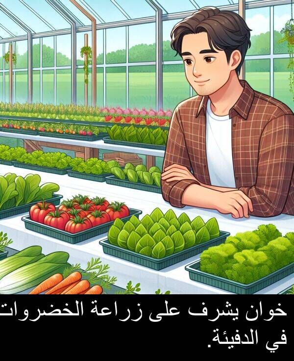 خوان: خوان يشرف على زراعة الخضروات في الدفيئة.
