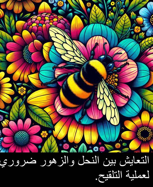 ضروري: التعايش بين النحل والزهور ضروري لعملية التلقيح.
