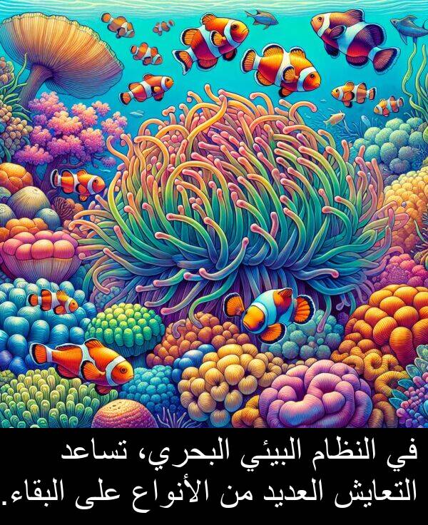 التعايش: في النظام البيئي البحري، تساعد التعايش العديد من الأنواع على البقاء.