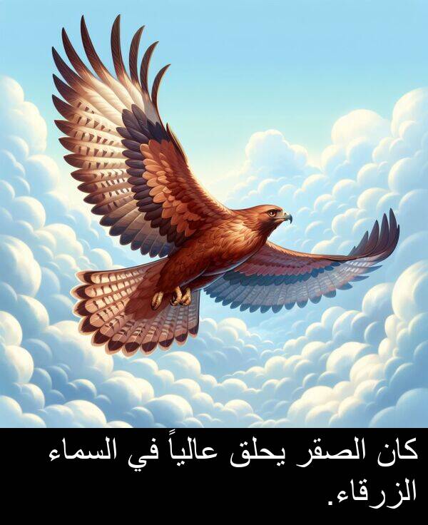 يحلق: كان الصقر يحلق عالياً في السماء الزرقاء.