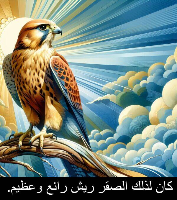 كان: كان لذلك الصقر ريش رائع وعظيم.