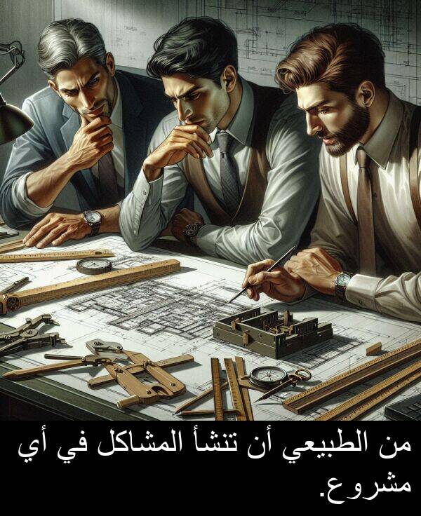 المشاكل: من الطبيعي أن تنشأ المشاكل في أي مشروع.