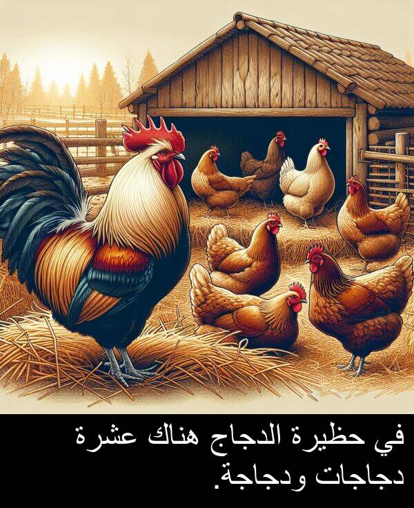 عشرة: في حظيرة الدجاج هناك عشرة دجاجات ودجاجة.